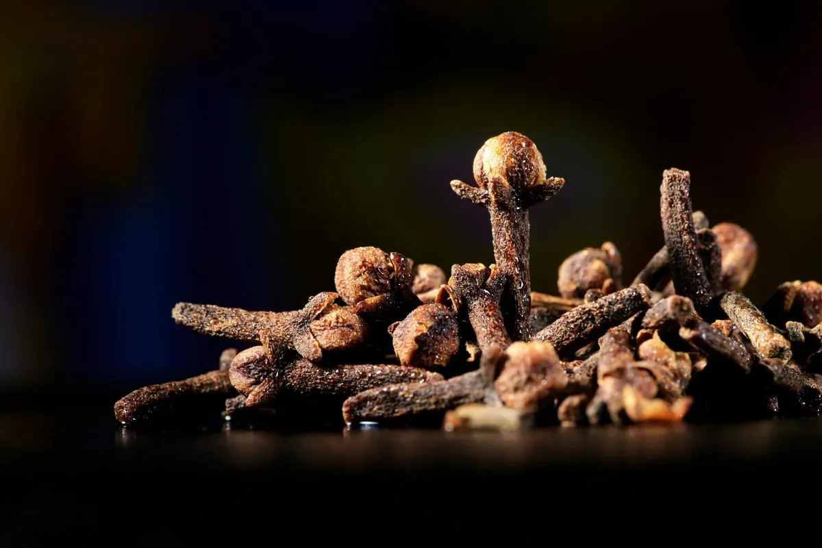 Whole Cloves Export from India: Premium Aromatic Spice for Food, Beverage & Flavor Industries