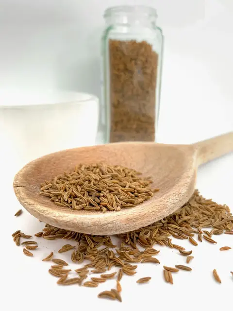 Sweet, Aromatic, and Precisely Graded: Gadhiya Group's Premium Green Fennel Seeds for Global Spice and Wellness Markets