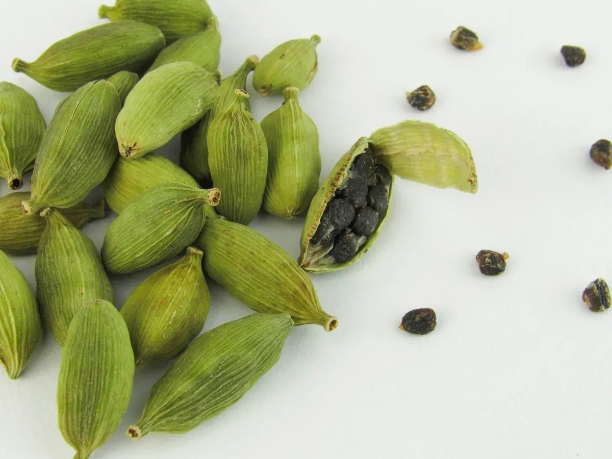 Green Cardamom Export from India: Premium Aromatic Pods for Food, Beverage & Confectionery Industries