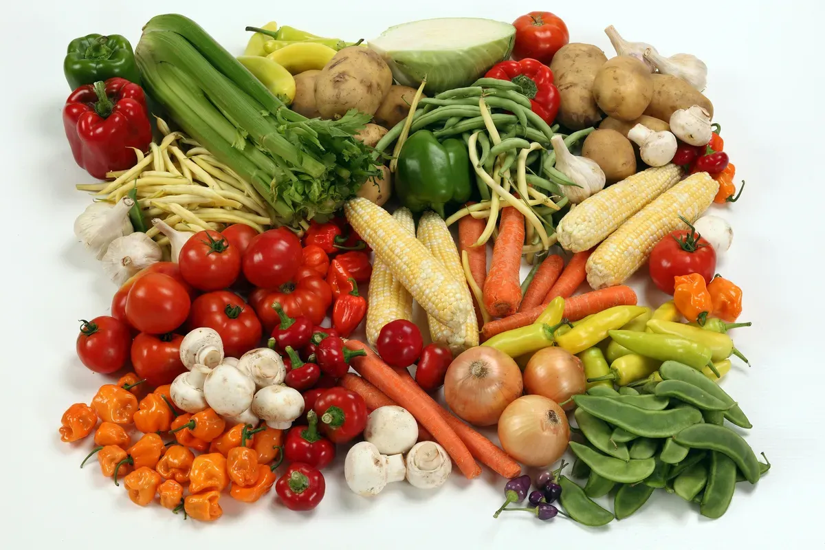 One Blend, Endless Possibilities: Gadhiya Group's IQF Mixed Vegetables for Global Food Manufacturers and Retailers
