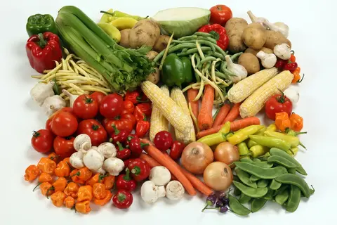 One Blend, Endless Possibilities: Gadhiya Group's IQF Mixed Vegetables for Global Food Manufacturers and Retailers