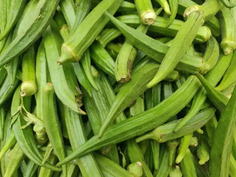 Cut or Whole, Fresh Every Time: Gadhiya Group's IQF Okra Is Redefining Frozen Vegetables for Global Buyers