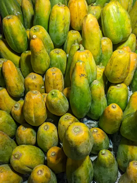 Frozen Papaya Export from India: Why Gadhiya Group's IQF Diced Papaya Is a Global Favourite