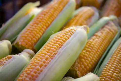 Golden & Ready: Why IQF Sweet Corn Kernels Are the Frozen Ingredient Global Food Brands Can't Ignore